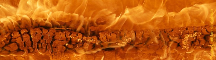 Feuer mit gelb-orangen Flammen um Holzscheit